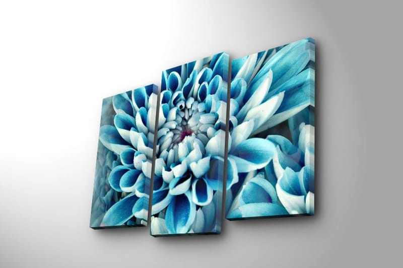 Dekorativ Canvastavla 3-Delar 45x20 cm - Flerfärgad - Inredning - Tavlor & konst - Canvastavlor