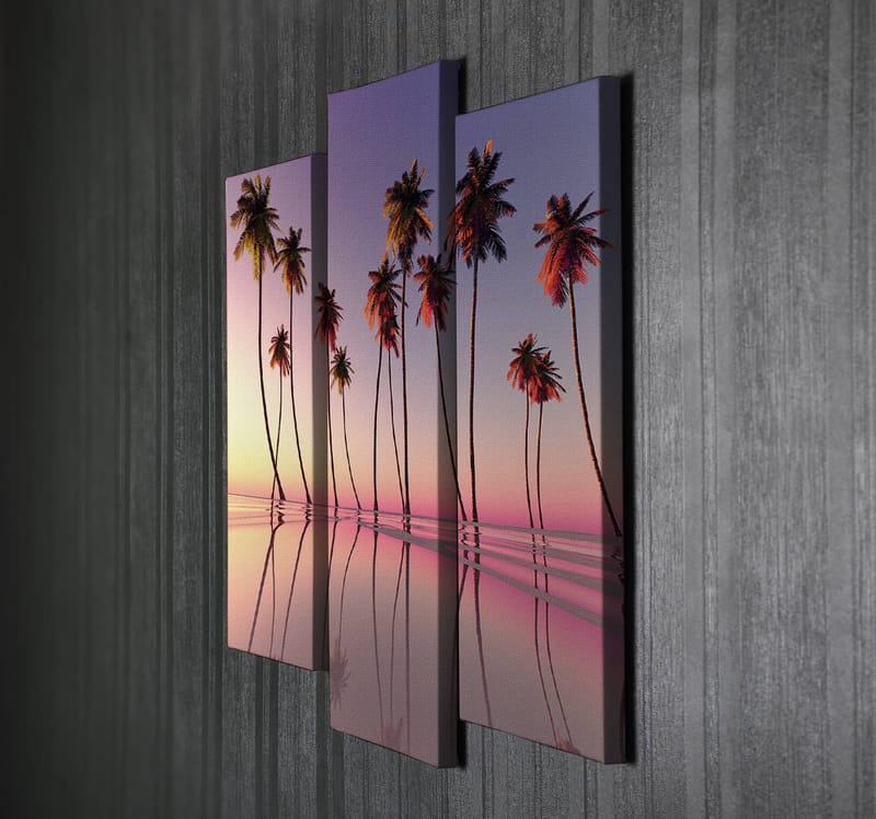 Dekorativ Canvastavla 3-Delar 45x20 cm - Flerfärgad - Inredning - Tavlor & konst - Canvastavlor