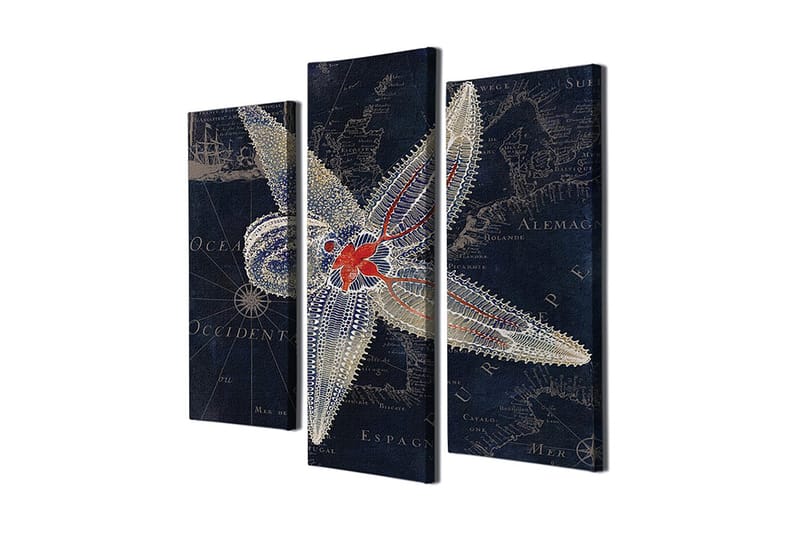 Dekorativ Canvastavla 3-Delar 45x20 cm, Flerfärgad