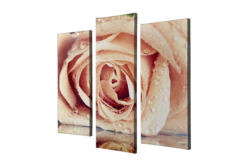 Dekorativ Canvastavla 3-Delar 45x20 cm - Flerfärgad - Inredning - Tavlor & konst - Canvastavlor