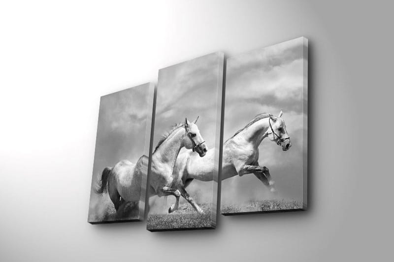 Dekorativ Canvastavla 3-Delar 45x20 cm - Flerfärgad - Inredning - Tavlor & konst - Canvastavlor