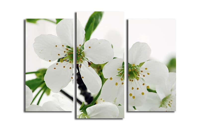 Dekorativ Canvastavla 3-Delar 45x20 cm, Flerfärgad