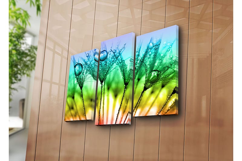 Dekorativ Canvastavla 3-Delar 45x20 cm - Flerfärgad - Inredning - Tavlor & konst - Canvastavlor