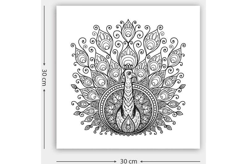 Dekorativ Canvastavla 30x30 cm - Vit|Svart - Inredning - Tavlor & konst - Canvastavlor