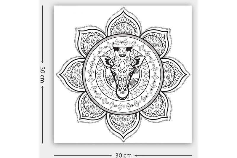 Dekorativ Canvastavla 30x30 cm - Vit|Svart - Inredning - Tavlor & konst - Canvastavlor