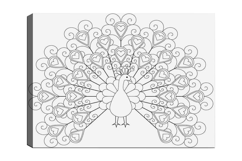 Dekorativ Canvastavla 30x40 cm, Vit|Svart