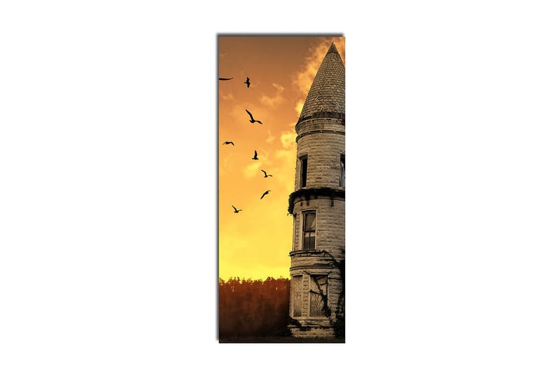 Dekorativ Canvastavla 30x70 cm - Flerfärgad - Inredning - Tavlor & konst - Canvastavlor