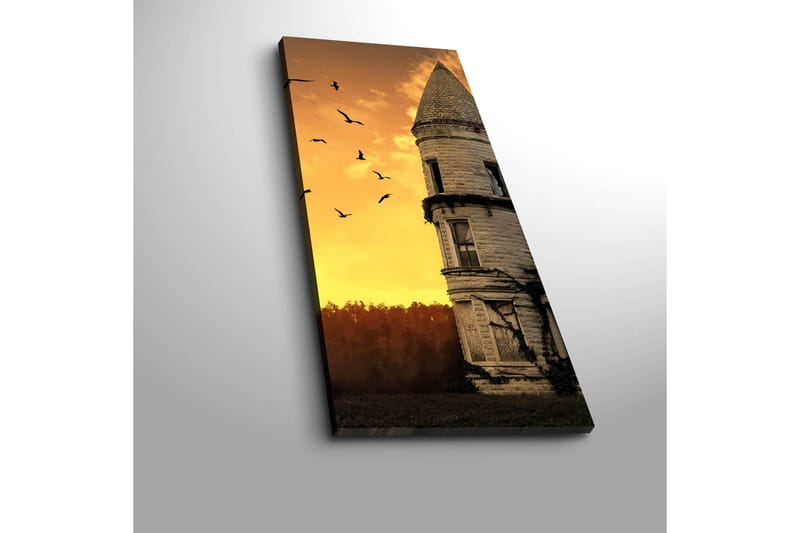 Dekorativ Canvastavla 30x70 cm - Flerfärgad - Inredning - Tavlor & konst - Canvastavlor