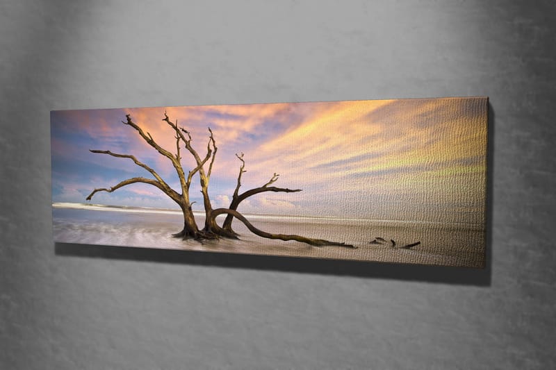 Dekorativ Canvastavla 30x80 cm - Flerfärgad - Inredning - Tavlor & konst - Canvastavlor