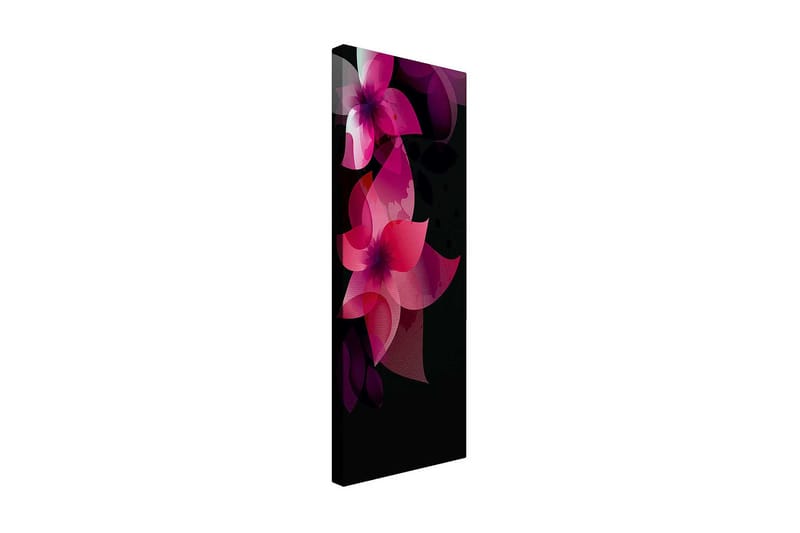Dekorativ Canvastavla 30x80 cm - Flerfärgad - Inredning - Tavlor & konst - Canvastavlor