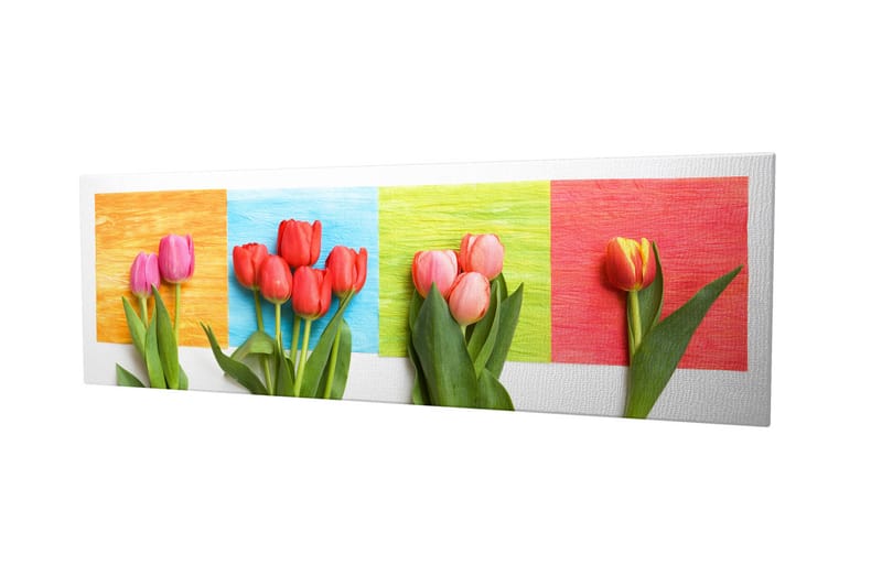Dekorativ Canvastavla 30x80 cm - Flerfärgad - Inredning - Tavlor & konst - Canvastavlor
