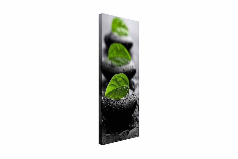 Dekorativ Canvastavla 30x80 cm - Flerfärgad - Inredning - Tavlor & konst - Canvastavlor