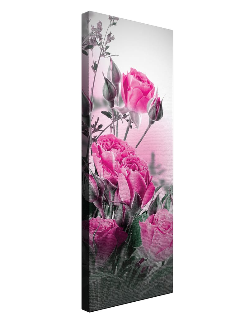 Dekorativ Canvastavla 30x80 cm - Flerfärgad - Inredning - Tavlor & konst - Canvastavlor