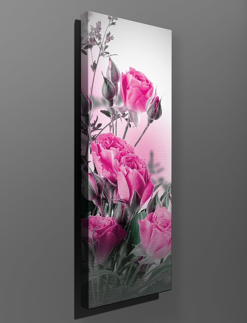 Dekorativ Canvastavla 30x80 cm - Flerfärgad - Inredning - Tavlor & konst - Canvastavlor