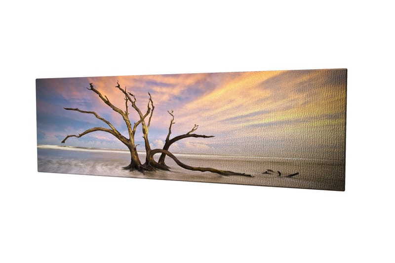 Dekorativ Canvastavla 30x80 cm - Flerfärgad - Inredning - Tavlor & konst - Canvastavlor