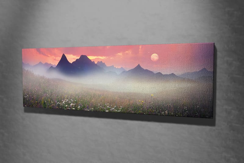 Dekorativ Canvastavla 30x80 cm - Flerfärgad - Inredning - Tavlor & konst - Canvastavlor