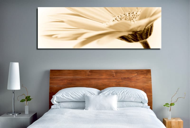 Dekorativ Canvastavla 30x80 cm - Flerfärgad - Inredning - Tavlor & konst - Canvastavlor