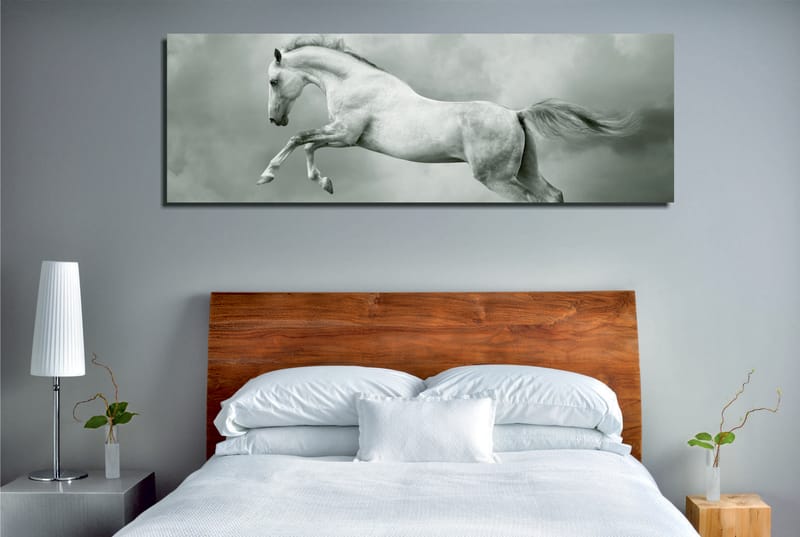 Dekorativ Canvastavla 30x80 cm - Flerfärgad - Inredning - Tavlor & konst - Canvastavlor