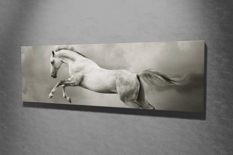 Dekorativ Canvastavla 30x80 cm - Flerfärgad - Inredning - Tavlor & konst - Canvastavlor