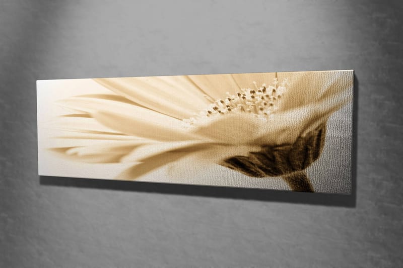 Dekorativ Canvastavla 30x80 cm - Flerfärgad - Inredning - Tavlor & konst - Canvastavlor