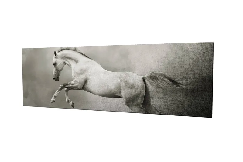 Dekorativ Canvastavla 30x80 cm - Flerfärgad - Inredning - Tavlor & konst - Canvastavlor