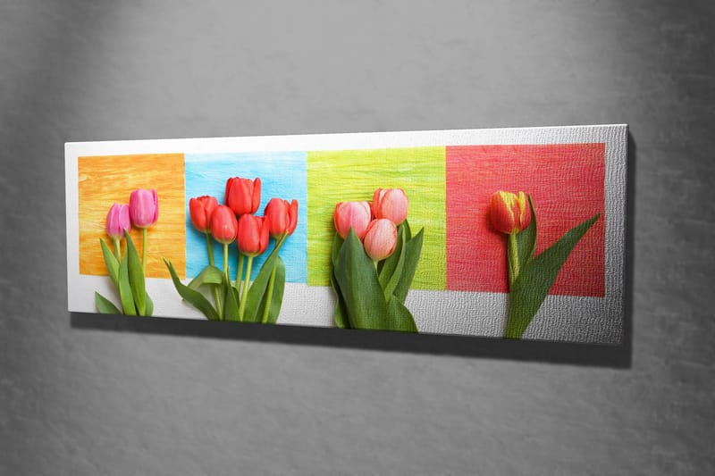 Dekorativ Canvastavla 30x80 cm - Flerfärgad - Inredning - Tavlor & konst - Canvastavlor