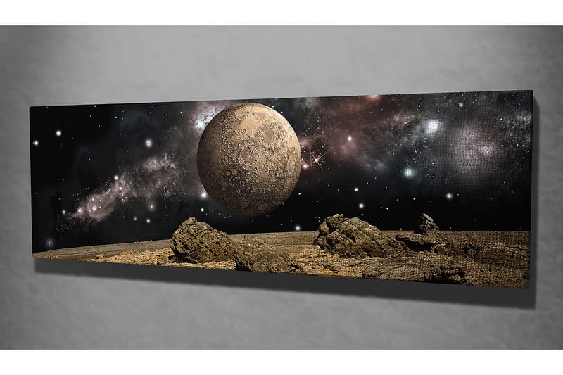 Dekorativ Canvastavla 30x80 cm - Flerfärgad - Inredning - Tavlor & konst - Canvastavlor