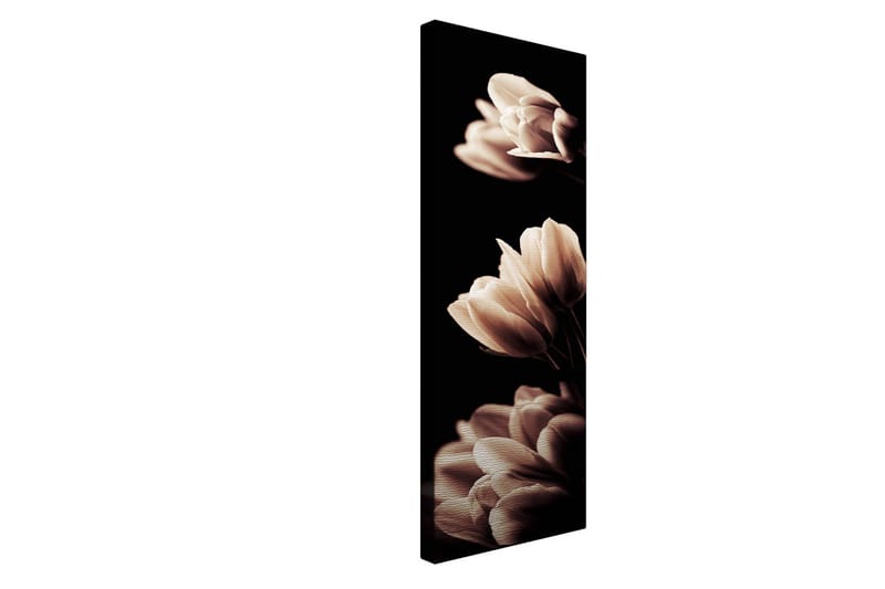 Dekorativ Canvastavla 30x80 cm - Flerfärgad - Inredning - Tavlor & konst - Canvastavlor