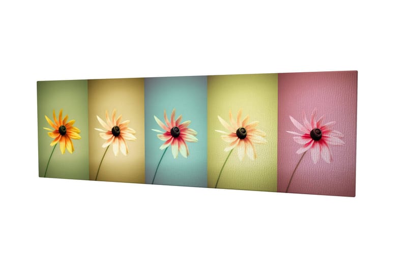 Dekorativ Canvastavla 30x80 cm - Flerfärgad - Inredning - Tavlor & konst - Canvastavlor