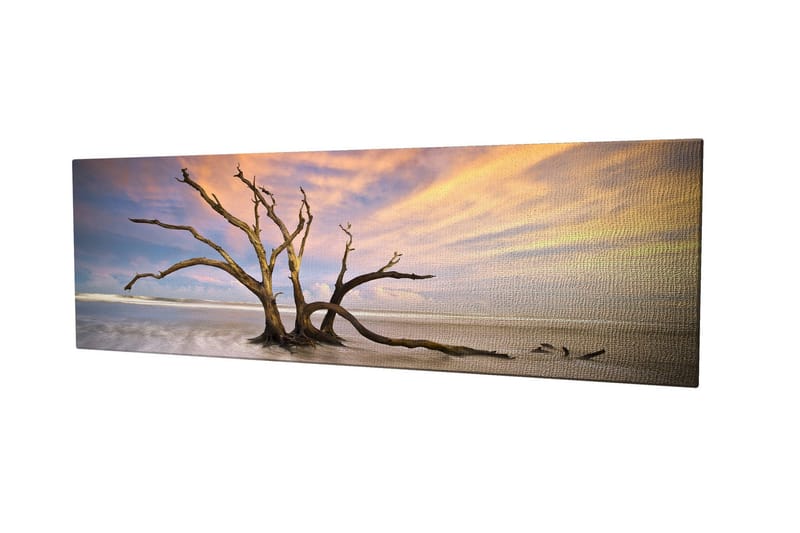 Dekorativ Canvastavla 30x80 cm, Flerfärgad