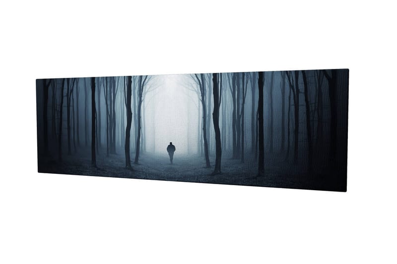 Dekorativ Canvastavla 30x80 cm - Flerfärgad - Inredning - Tavlor & konst - Canvastavlor