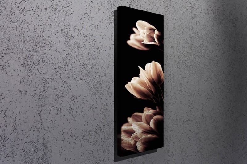 Dekorativ Canvastavla 30x80 cm - Flerfärgad - Inredning - Tavlor & konst - Canvastavlor