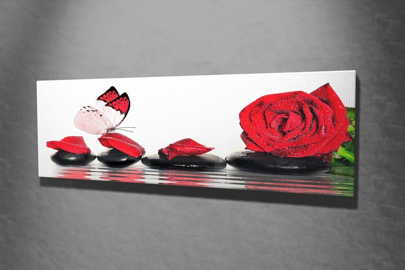 Dekorativ Canvastavla 30x80 cm - Flerfärgad - Inredning - Tavlor & konst - Canvastavlor