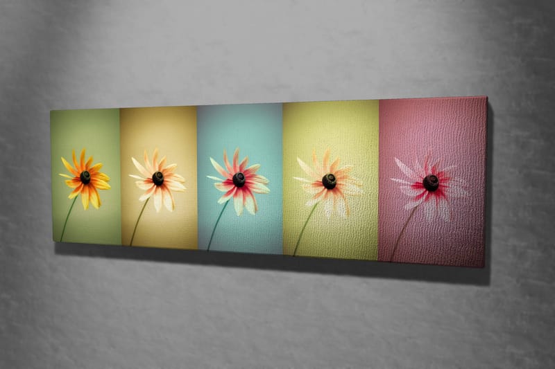 Dekorativ Canvastavla 30x80 cm - Flerfärgad - Inredning - Tavlor & konst - Canvastavlor