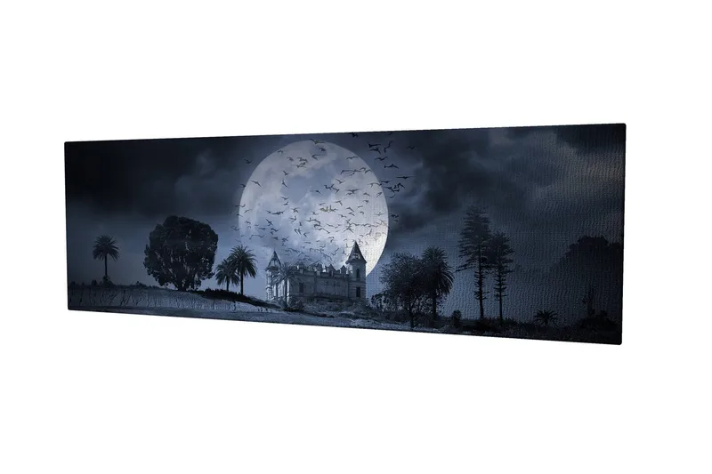 Dekorativ Canvastavla 30x80 cm, Flerfärgad