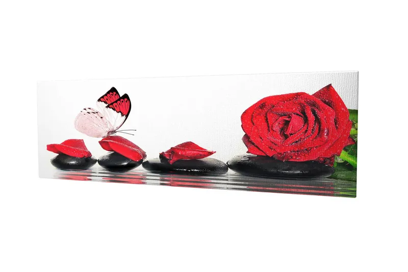 Dekorativ Canvastavla 30x80 cm, Flerfärgad