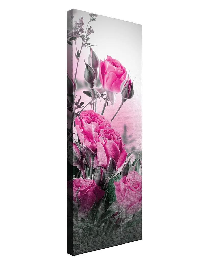 Dekorativ Canvastavla 30x80 cm - Flerfärgad - Inredning - Tavlor & konst - Canvastavlor