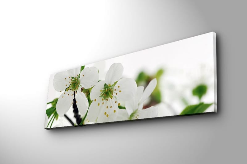 Dekorativ Canvastavla 30x90 cm - Flerfärgad - Inredning - Tavlor & konst - Canvastavlor