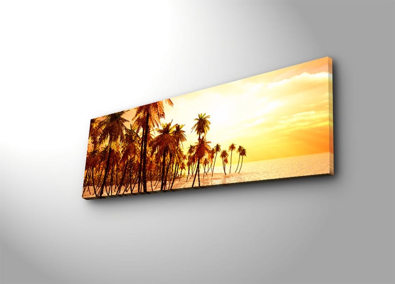 Dekorativ Canvastavla 30x90 cm - Flerfärgad - Inredning - Tavlor & konst - Canvastavlor