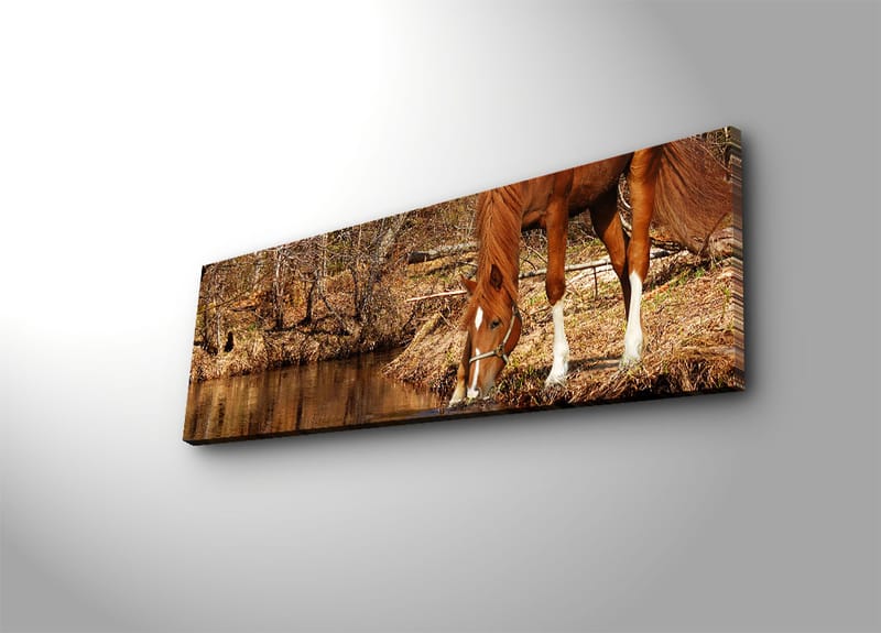 Dekorativ Canvastavla 30x90 cm - Flerfärgad - Inredning - Tavlor & konst - Canvastavlor