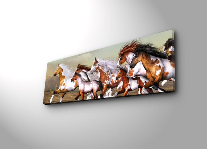 Dekorativ Canvastavla 30x90 cm - Flerfärgad - Inredning - Tavlor & konst - Canvastavlor