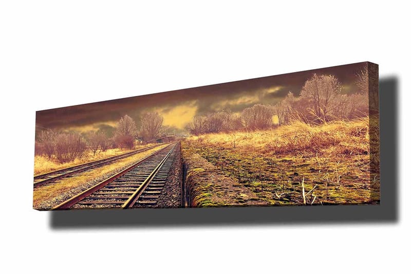 Dekorativ Canvastavla 30x90 cm - Flerfärgad - Inredning - Tavlor & konst - Canvastavlor