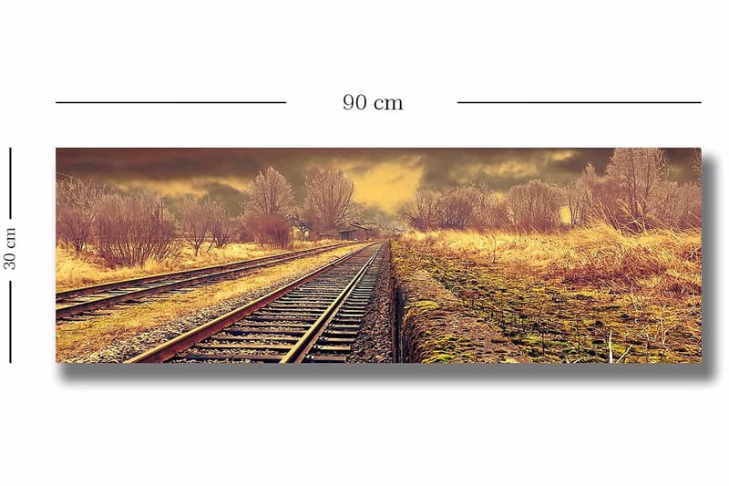 Dekorativ Canvastavla 30x90 cm - Flerfärgad - Inredning - Tavlor & konst - Canvastavlor