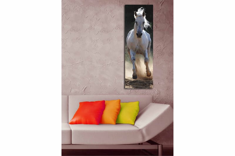 Dekorativ Canvastavla 30x90 cm - Flerfärgad - Inredning - Tavlor & konst - Canvastavlor