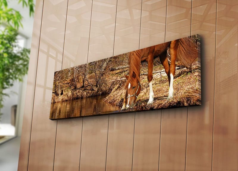 Dekorativ Canvastavla 30x90 cm - Flerfärgad - Inredning - Tavlor & konst - Canvastavlor