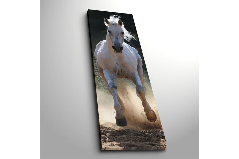 Dekorativ Canvastavla 30x90 cm - Flerfärgad - Inredning - Tavlor & konst - Canvastavlor