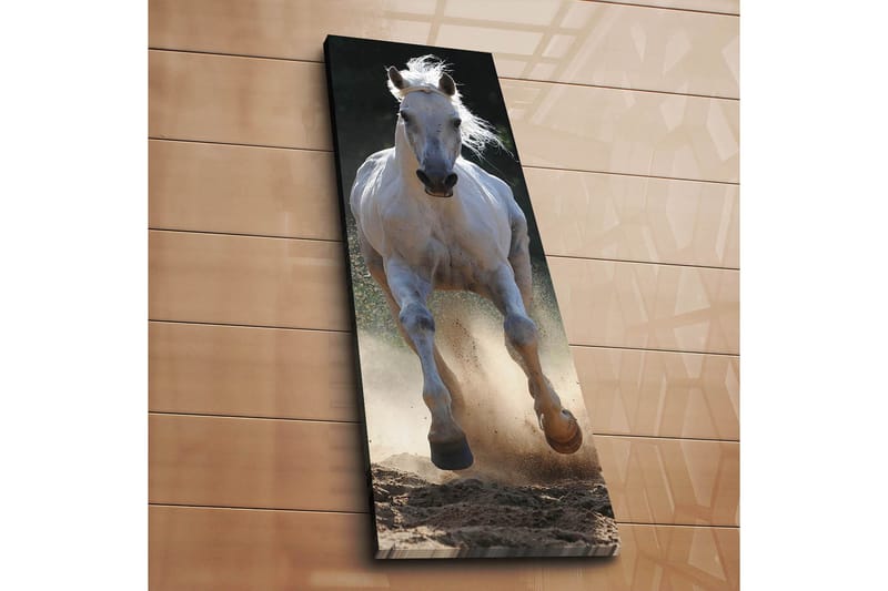 Dekorativ Canvastavla 30x90 cm - Flerfärgad - Inredning - Tavlor & konst - Canvastavlor