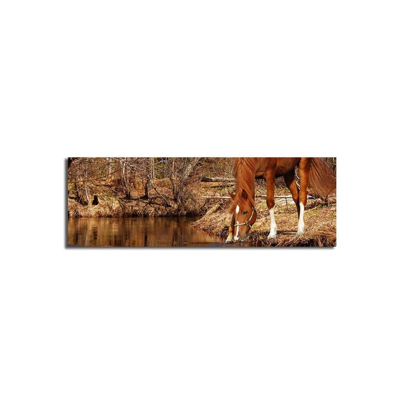 Dekorativ Canvastavla 30x90 cm - Flerfärgad - Inredning - Tavlor & konst - Canvastavlor