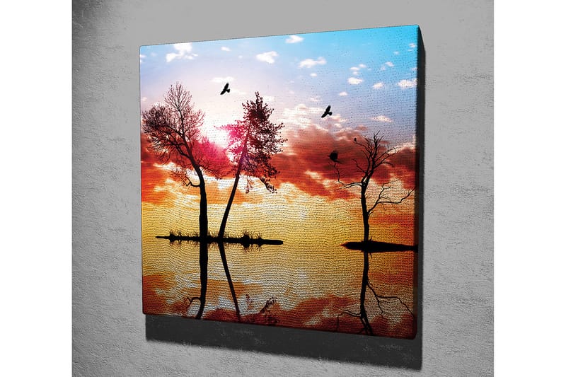 Dekorativ Canvastavla 45x45 cm - Flerfärgad - Inredning - Tavlor & konst - Canvastavlor