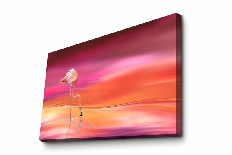 Dekorativ Canvastavla 45x70 cm - Flerfärgad - Inredning - Tavlor & konst - Canvastavlor